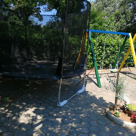 Kuca Rose Villa Ledenice Bagian luar foto